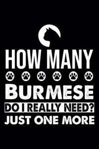 How Many Cat Do I Really Need? Just One More