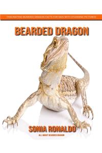 All About Bearded Dragon