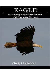 Eagle: Fascinating Eagle Facts for Kids with Stunning Pictures!