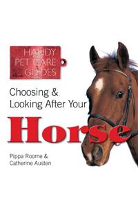 Choosing & Looking After Your Horse