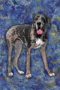 Great Dane