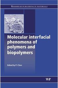 Molecular Interfacial Phenomena of Polymers and Biopolymers