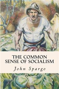 Common Sense of Socialism