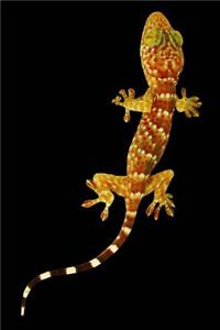 Gecko on a Black Background Journal: Take Notes, Write Down Memories in this 150 Page Lined Journal