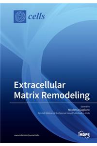 Extracellular Matrix Remodeling