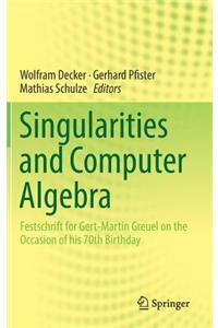 Singularities and Computer Algebra