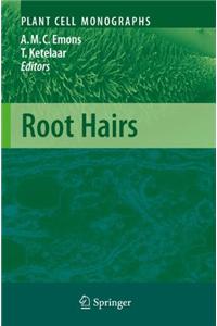Root Hairs