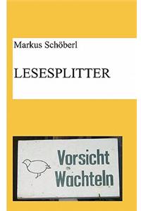 Lesesplitter