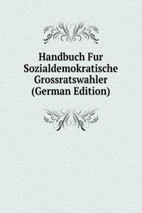 Handbuch Fur Sozialdemokratische Grossratswahler (German Edition)