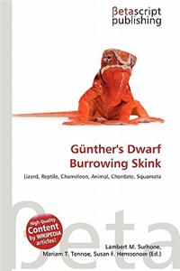 G Nther's Dwarf Burrowing Skink