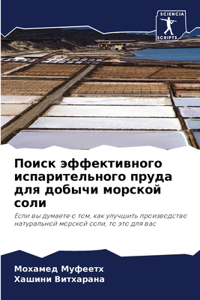 Поиск эффективного испарительного пруда