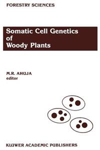 Somatic Cell Genetics of Woody Plants