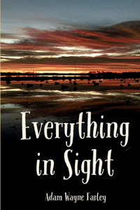 Everything in Sight