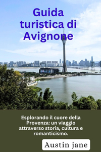 Guida turistica di Avignone
