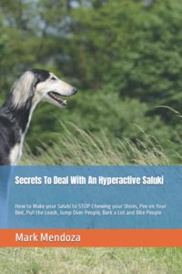 Secrets To Deal With An Hyperactive Saluki