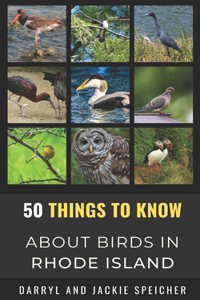 50 Things to Know About Birds in the Rhode Island