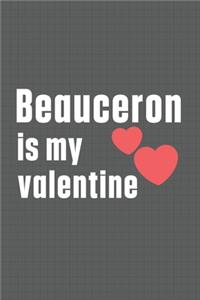 Beauceron is my valentine