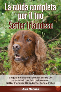 La Guida Completa per Il Tuo Setter Irlandese