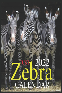 JUST Zebra CALENDAR 2022