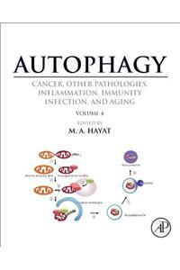 Autophagy: Cancer, Other Pathologies, Inflammation, Immunity, Infection, and Aging