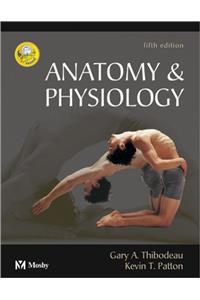 Anatomy and Physiology