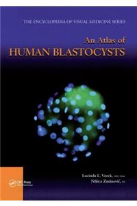 An Atlas of Human Blastocysts