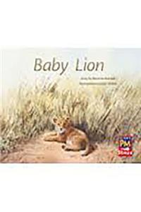 Baby Lion: Leveled Reader Bookroom Package Red (Levels 3-5)
