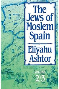 The Jews of Moslem Spain, Volumes 2 & 3