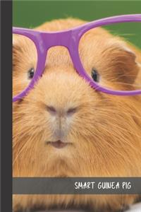 smart guinea pig