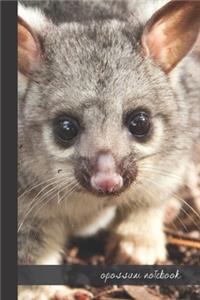 opossum notebook