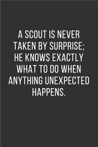 A Scout is never taken by surprise; he knows exactly what to do when anything unexpected happens.