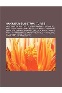Nuclear Substructures