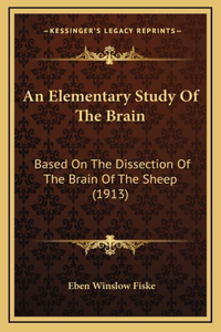 An Elementary Study Of The Brain