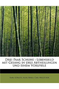 Drei Paar Schuhe: Lebensbild Mit Gesang in Drei Abtheilungen Und Einem Vorspiele