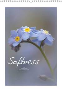 Softness 2016