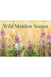 Wild Meadow Scenes 2018