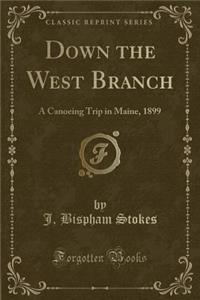 Down the West Branch