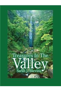 Treasures in the Valley