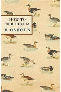 How to Shoot Ducks