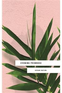 Evening Primrose: a heart-wrenching novel for our times