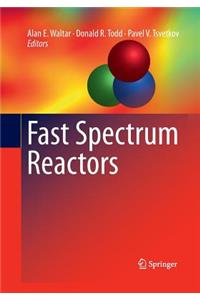 Fast Spectrum Reactors