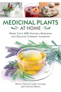 Medicinal Plants at Home