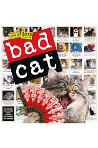 2019 Bad Cat Wall Calendar