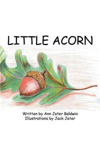 Little Acorn