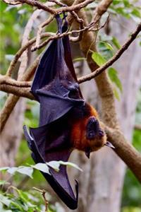 The Bat Hanging Upside Down Journal