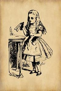 Alice in Wonderland Journal - Drink Me