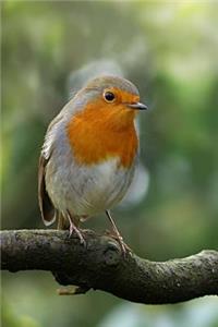 Robin on a Branch Bird Journal