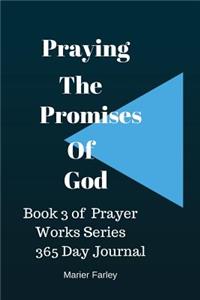 Praying The Promises of God