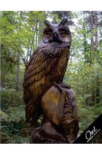 Owl Notebook Collection