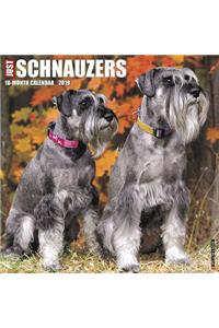 Just Schnauzers 2019 Wall Calendar (Dog Breed Calendar)